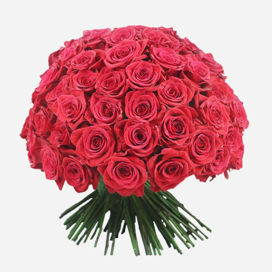 101 Long Stem Red Ecuadorian Roses