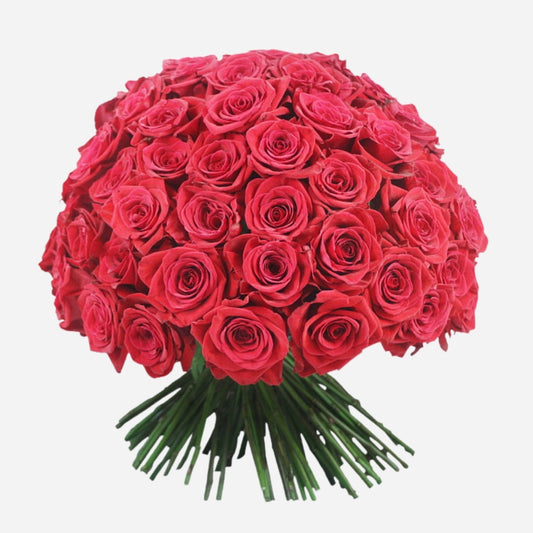 101 Long Stem Red Ecuadorian Roses