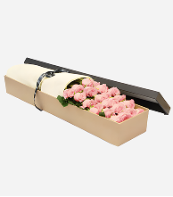 Pink Rose Boxe
