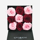 9 Infinity Red & Pink Roses in a Black Box