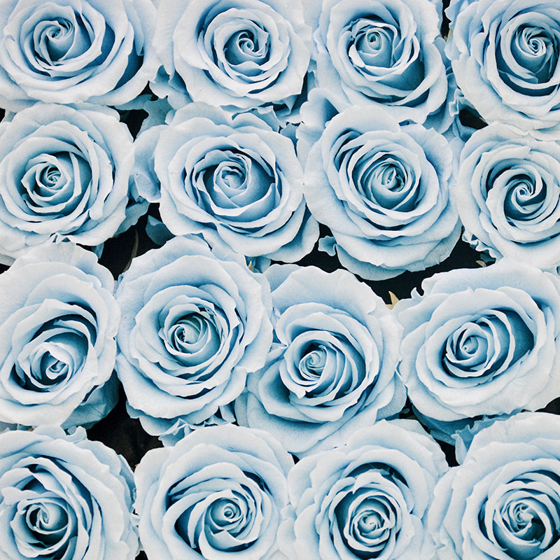 16 Infinity Blue Roses in a Black Box