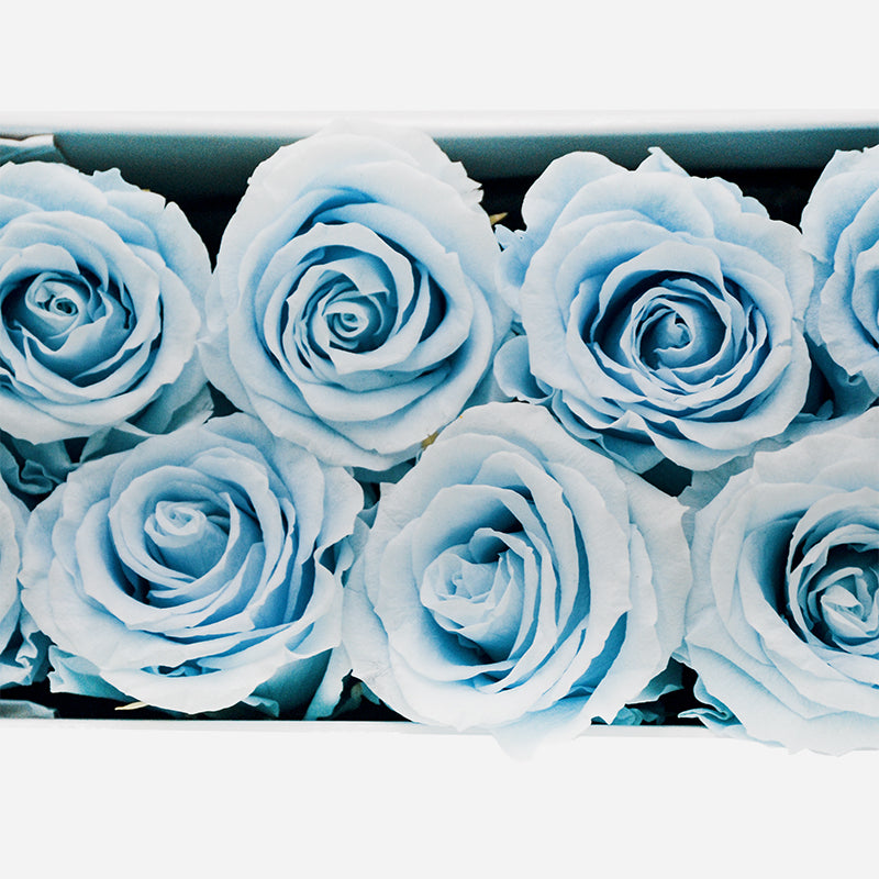 12 Infinity Blue Roses in a White Box