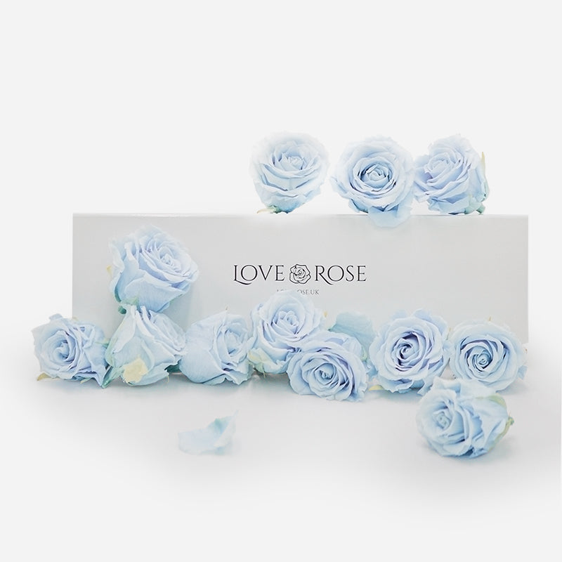 12 Infinity Blue Roses in a White Box