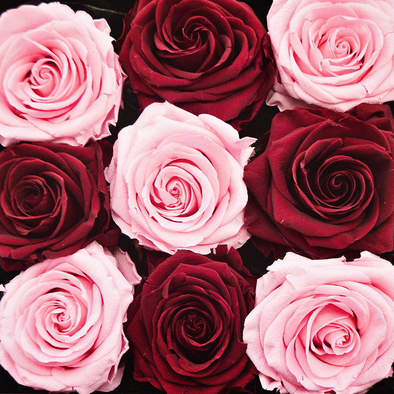 9 Infinity Red & Pink Roses in a Black Box