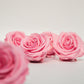 5 Infinity Pink Roses in a White Box