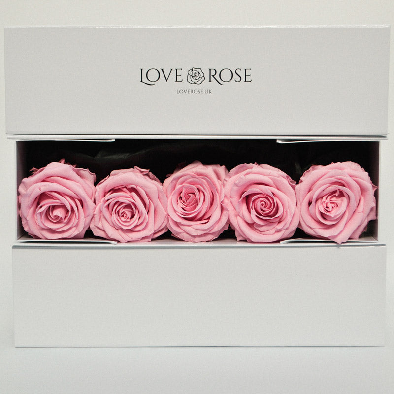 5 Infinity Pink Roses in a White Box