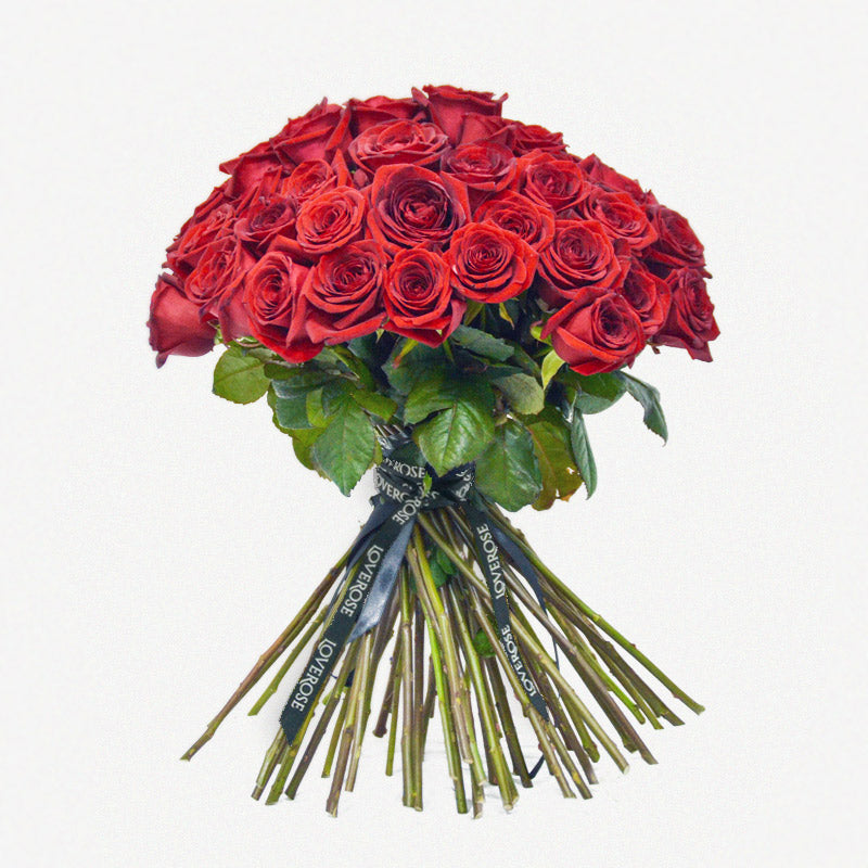 Long Stem Red Ecuadorian Rose Bouquet