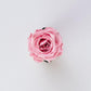 Luxury Pink Rose Box