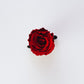 luxury red rose