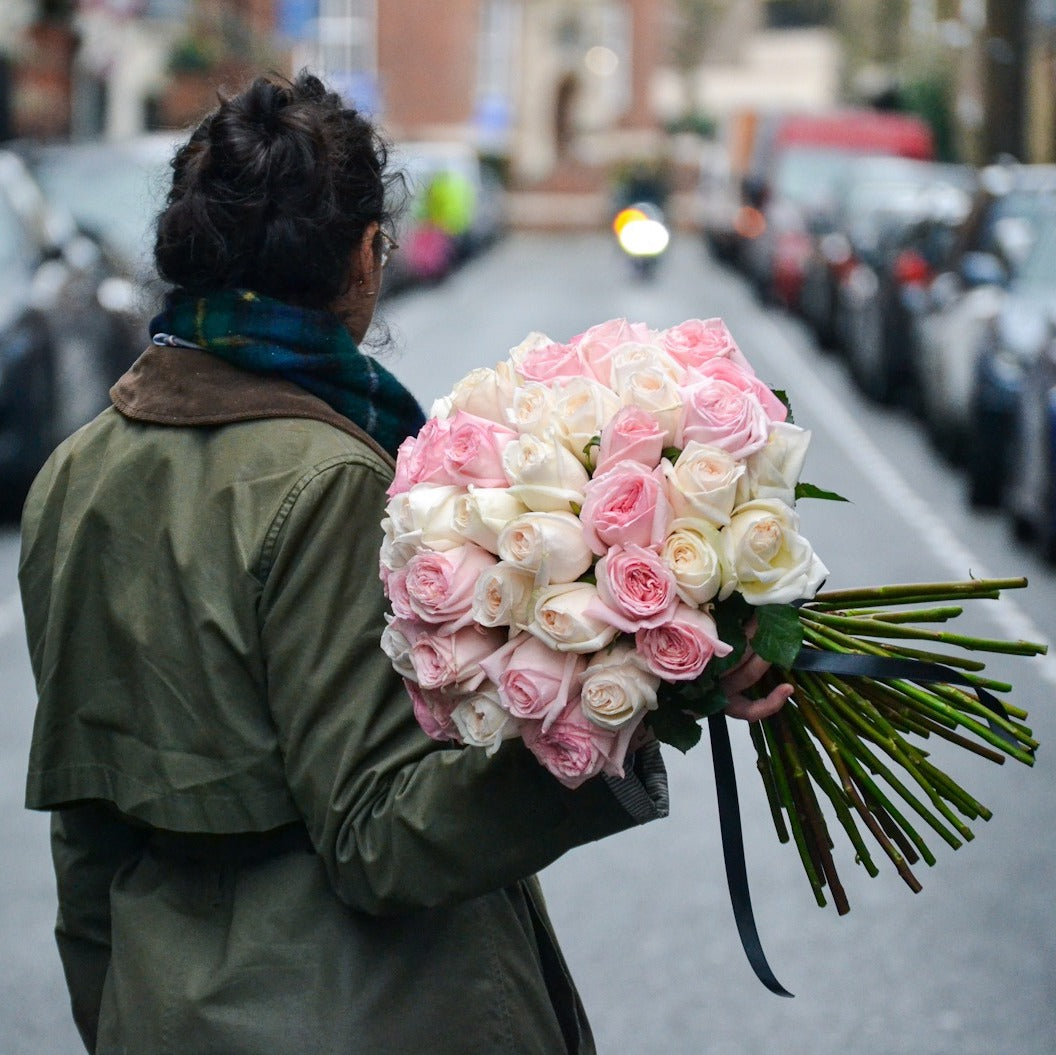 pale pink roses