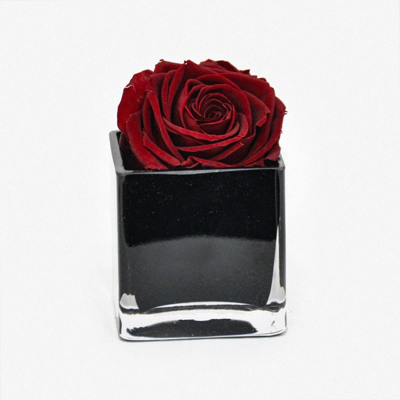 single red rose in a glass vase