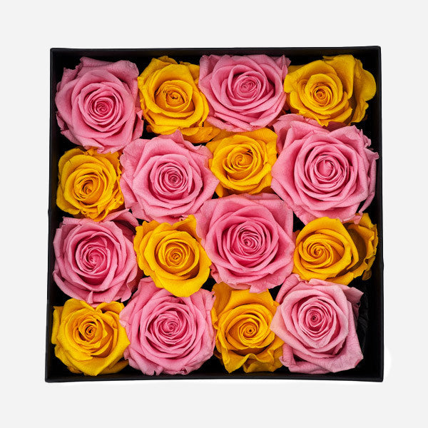 Infinity Pink and Yellow Roses in a Black Box