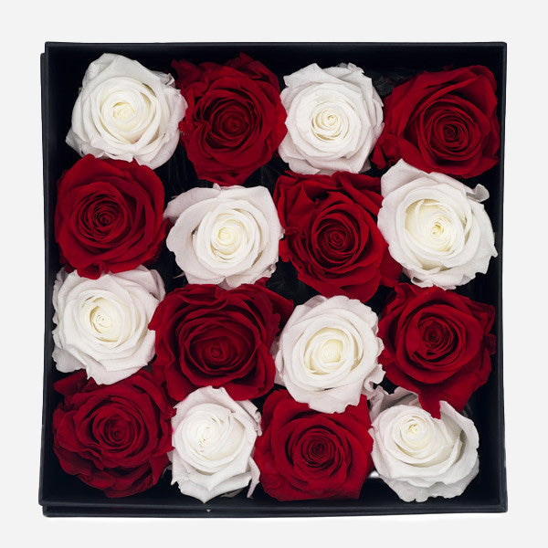 Infinity Red and White Roses in a Black Box