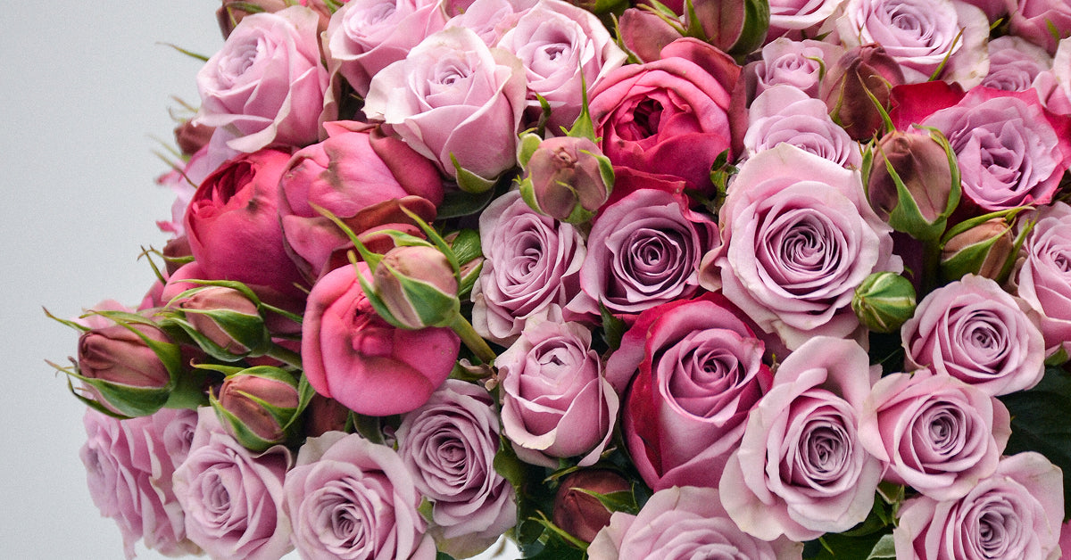 Luxury Roses UK & Near Me | Infinity Roses & Rose Bouquets – Love Rose ...