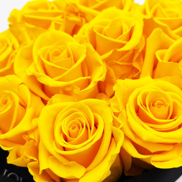 Infinity Yellow Roses in a White Hat Box