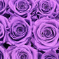 16 Infinity Purple Roses in a Black Box