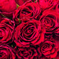 Fifty Roses of Romance