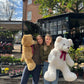Large Brown Bear (75cm)