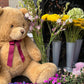 Large Brown Bear (75cm)