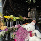Large Cream Bear (75cm)