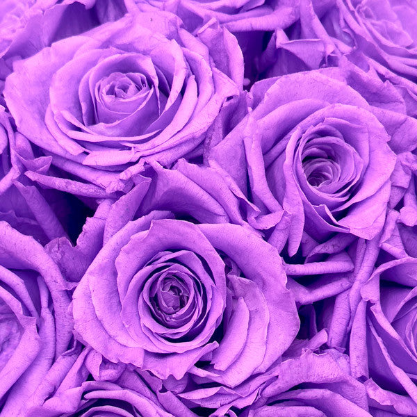 Infinity Purple Roses in a Black Hat Box