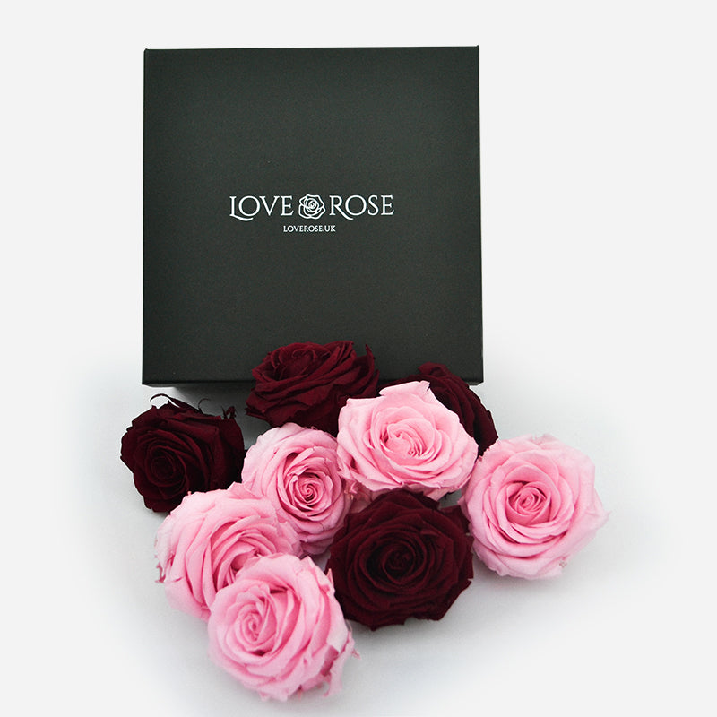 9 Infinity Red & Pink Roses in a Black Box