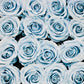 16 Infinity Blue Roses in a Black Box