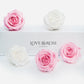 5 Infinity Pink & White Roses in a White Box
