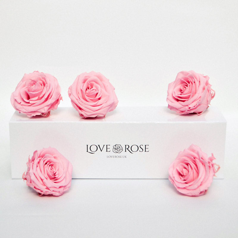 5 pink forever roses in a luxury white box