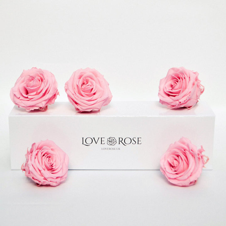 Love Rose | Finest Roses Delivered London and UK – LoveRose