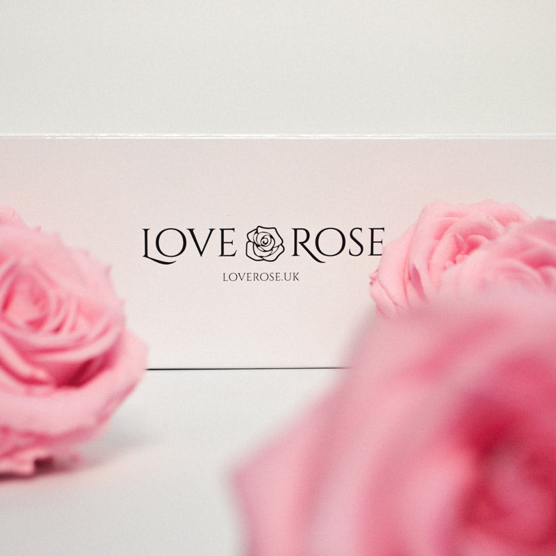 5 Infinity Pink Roses in a White Box