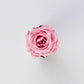 luxury pink rose