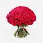 100 red roses, hand-tied in a luxury bouquet for valentines day