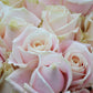 pale pink roses