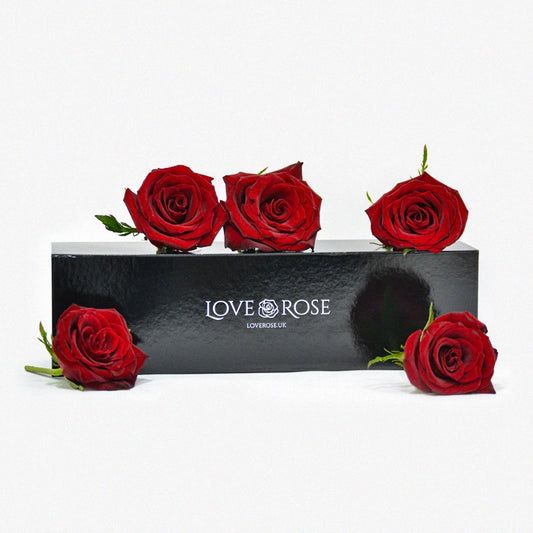 5 red rose heads arranged around a luxury black gift box